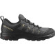 Salomon X Braze GTX